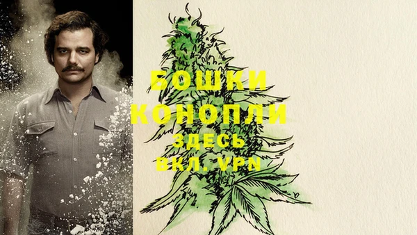 не бодяженный Тайга